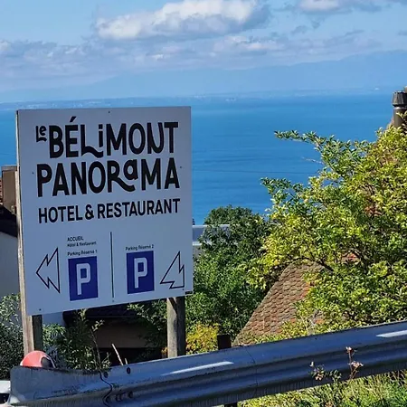 ホテル Le Belimont Panorama ベルモン＝シュル＝ローザンヌ
